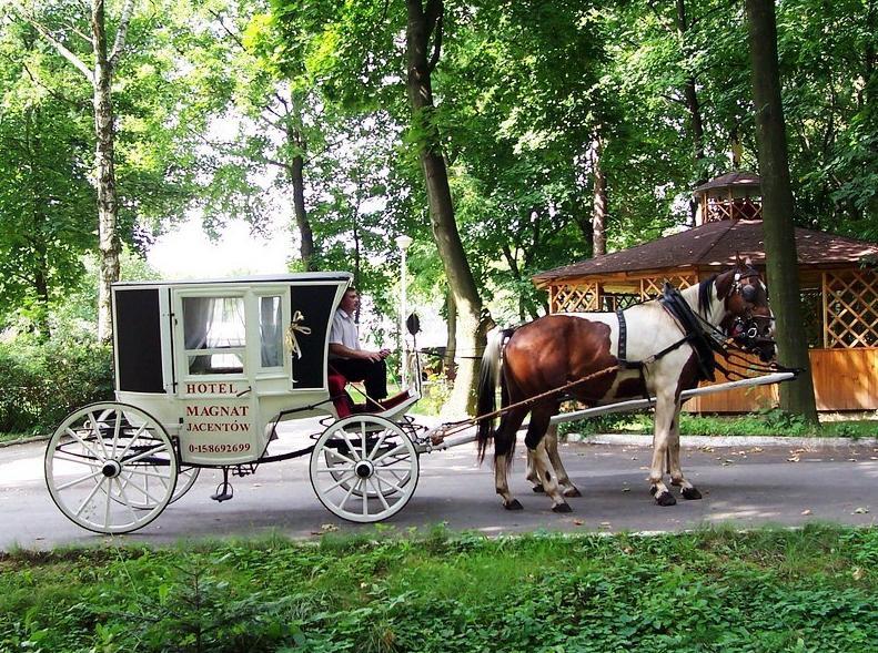 Willa Park Островец-Свентокшиский Экстерьер фото